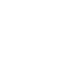 Borg & Partners